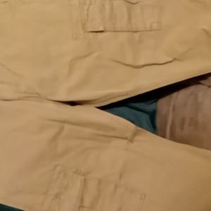 Levi cargo pants